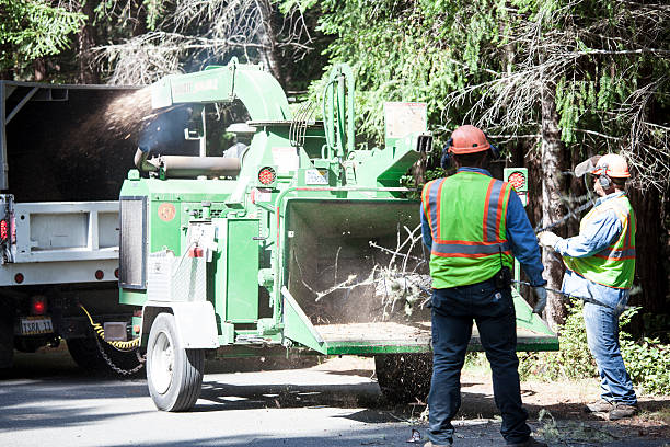 Best Hazardous Tree Removal  in Bakersfield Country Clu, CA